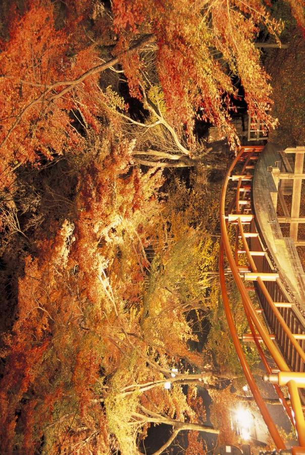 Shinki Otel Shibukawa Dış mekan fotoğraf